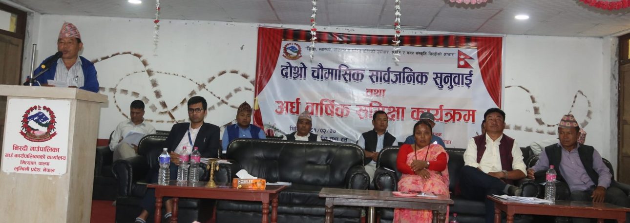 निस्दीको सार्वजनिक सुनुवाइ