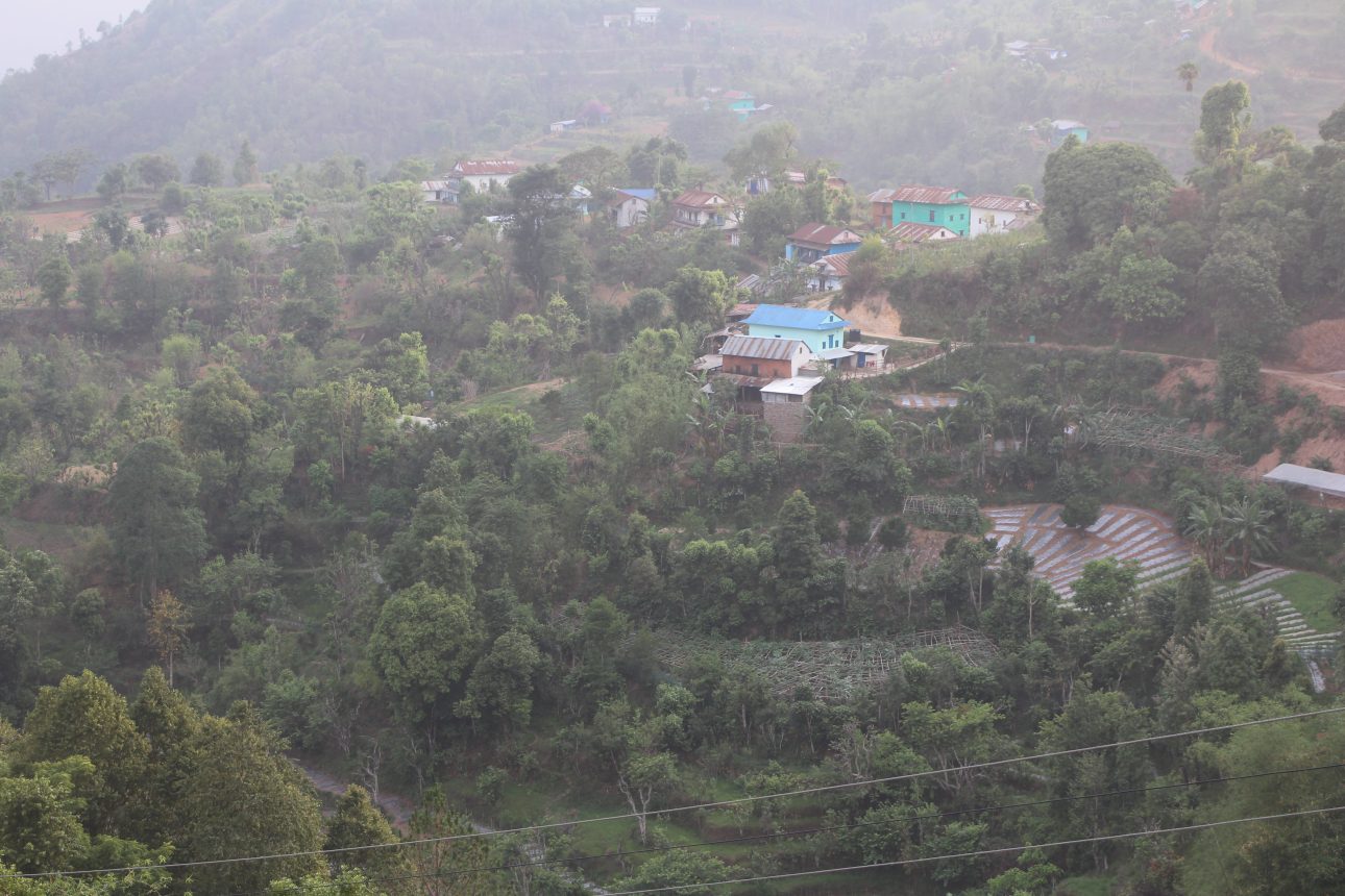 तरकारी खेतीबाट आम्दानी लिर्दै डबकाका महिला