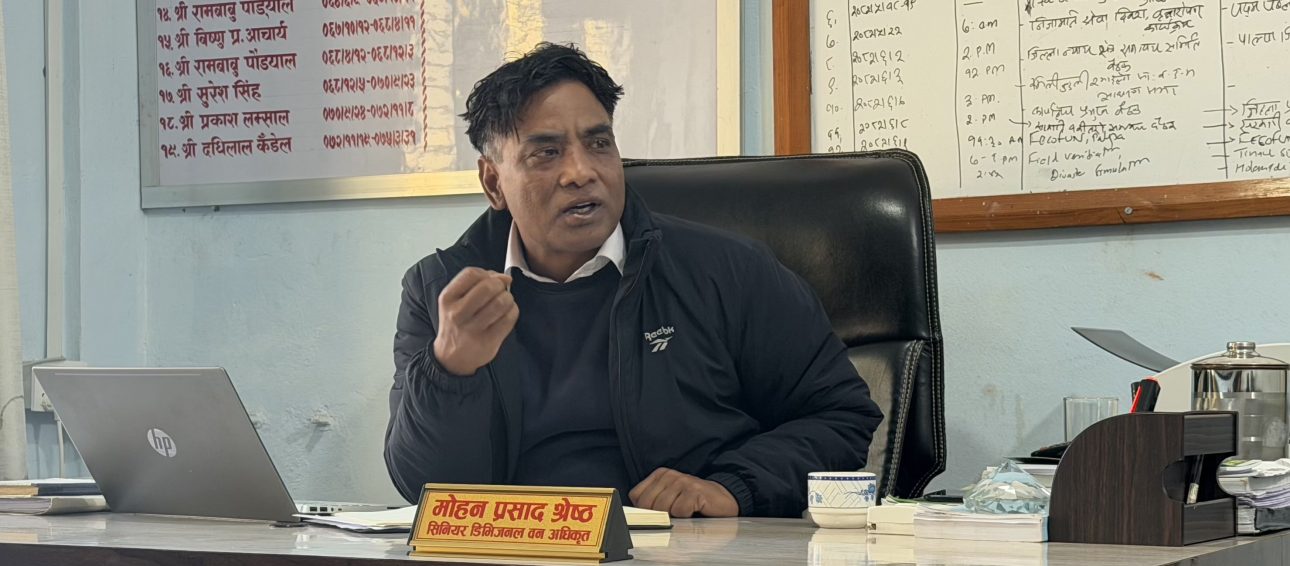 डढेलो नियन्त्रणका लागि विशेष योजना आवश्यक : प्रमुख श्रेष्ठ