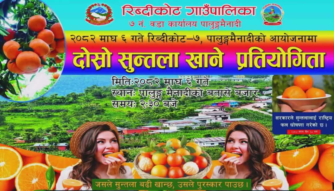 पालुङमैनादीमा सुन्तला खाने प्रतियोगिता हुदै