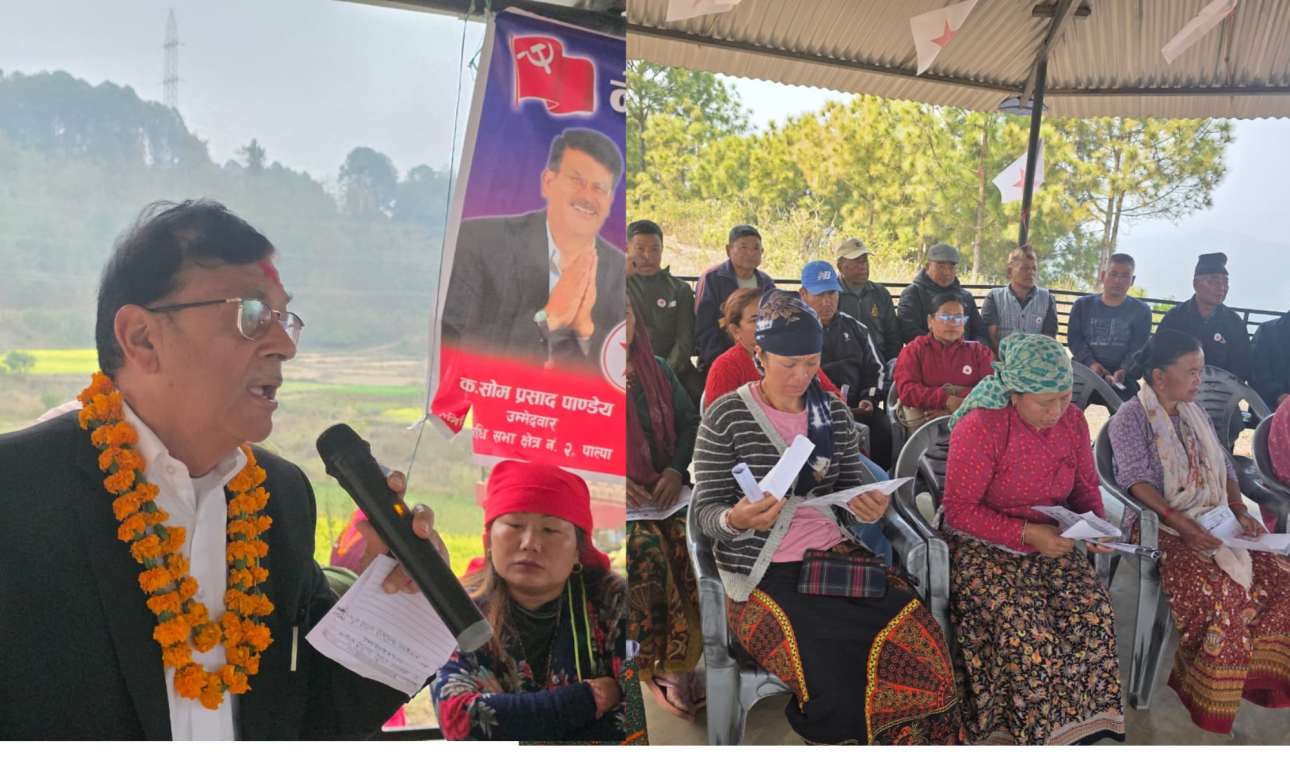 पाल्पालीले  विकासप्रेमी नेता राेज्ने  पाण्डेयकाे दावी