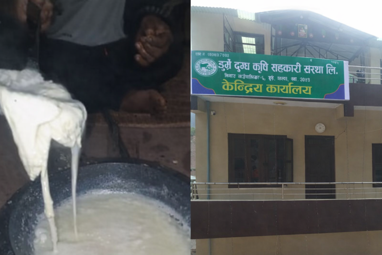 डेरीको दूध तताउँदा ‘प्लास्टिक’ जस्तै बनेपछि उपभोक्ता त्रसित